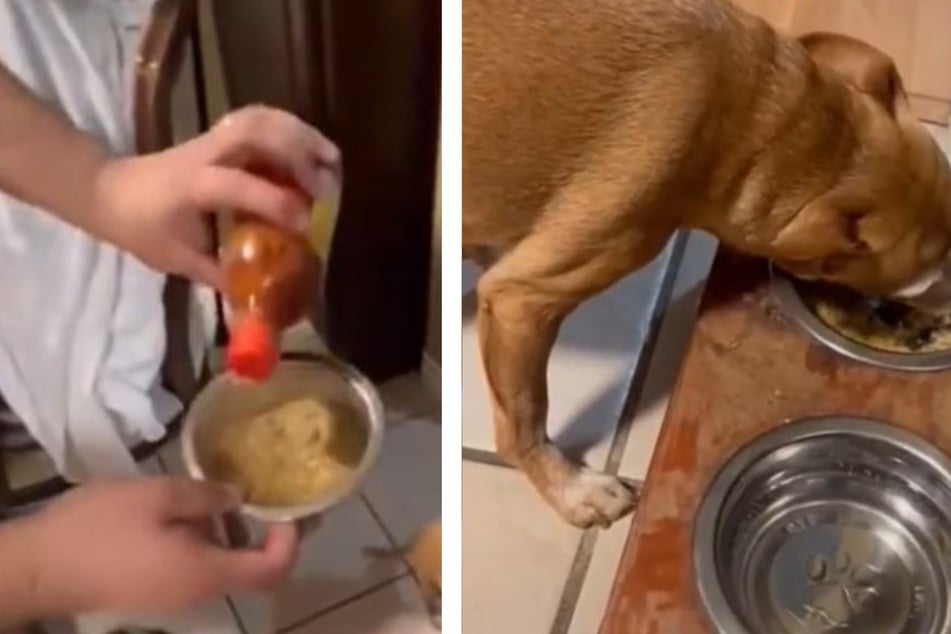 After Bailey's owner shakes unopened sauces over her bowl, pretending to season her food, the pup finally agrees to eat (r.).