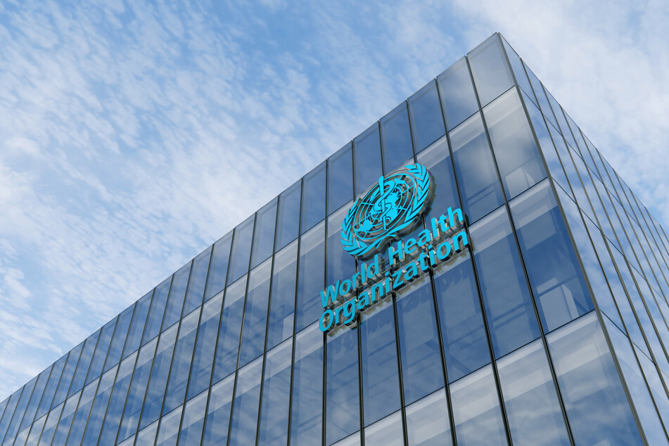 The World Health Organization is considering forming a working group to create protocols for preventing another global crisis caused by a virus (stock image).