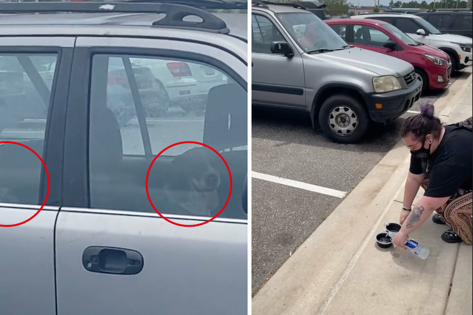 Two dogs had to wait in an overheated car for over an hour (l.). TikTok user Kay and her friends bought the dogs bowls of water (r.).