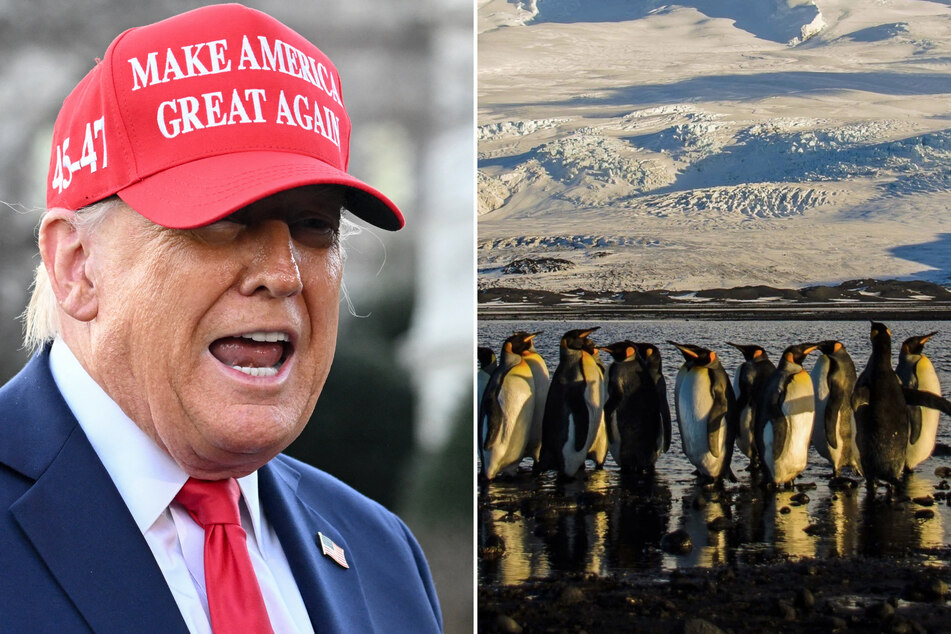 Trump's tariffs have sparked a flood of penguin memes after he targeted an island inhabited by the flightless birds, but no people.