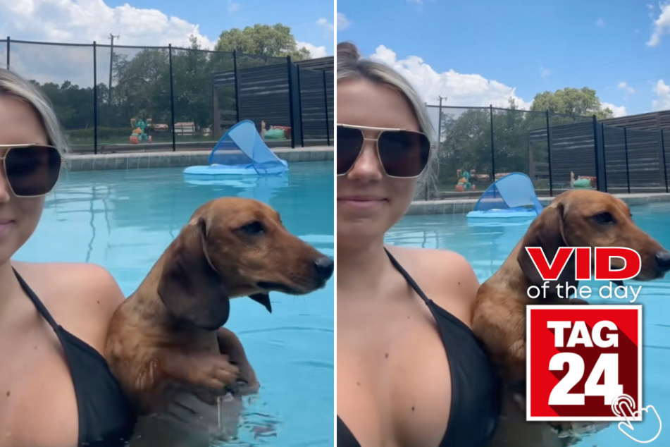 Today's Viral Video of the Day features a dachshund who kept paddling away in a pool, even with his paws above the water!