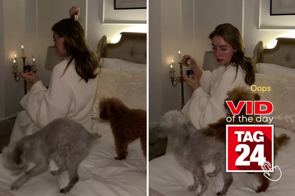 Viral Video of the Day for October 27, 2026: Dogs completely ruin woman's attempt at aesthetic TikTok