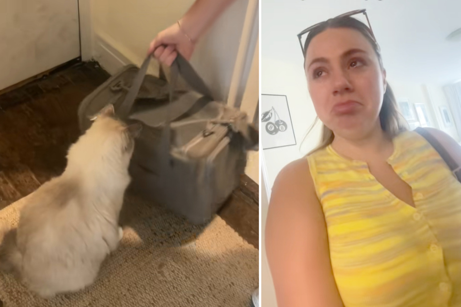 Owner Alissa is moved when she realizes that Martini doesn't want to part with the babies.