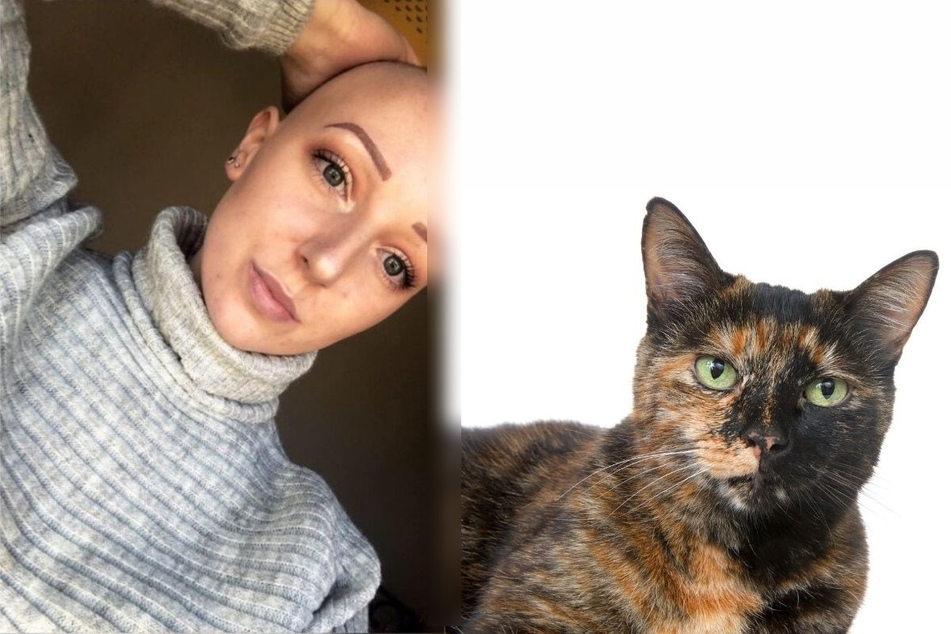 Skilled cat burglar commits the purrfect crime, what she steals will knock your socks off