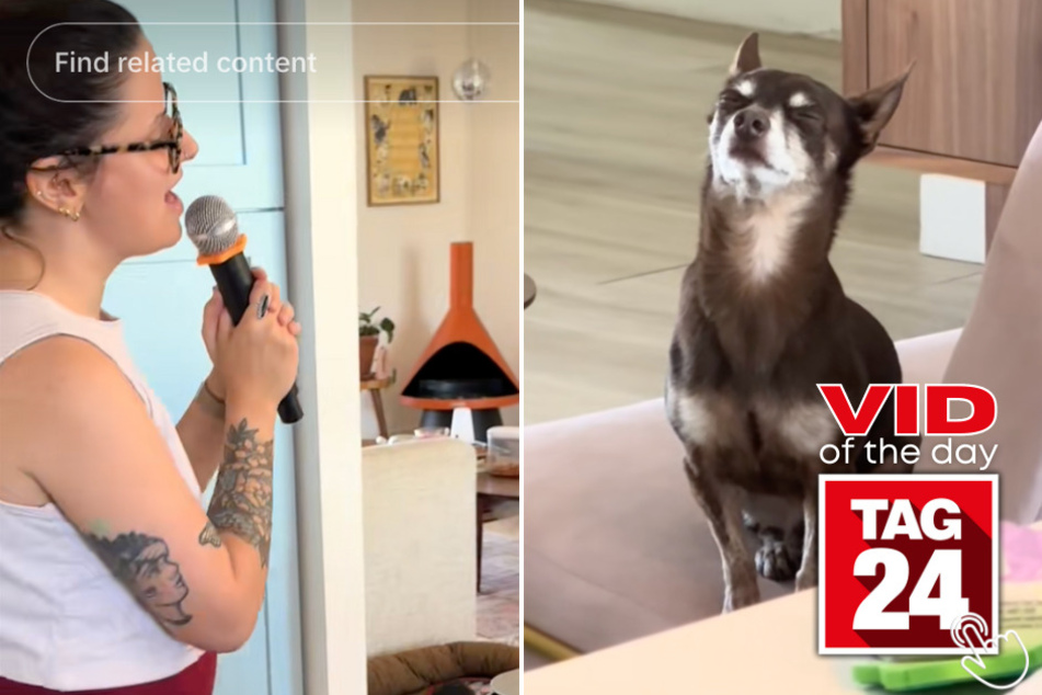 The dog couldn't get over his owner's fabulous karaoke session!