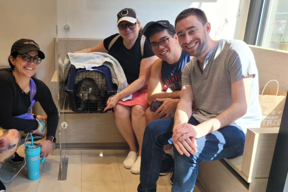 These New York neighbors rescued Leila the cat. Ben Lagman (2nd from right) even adopted her!