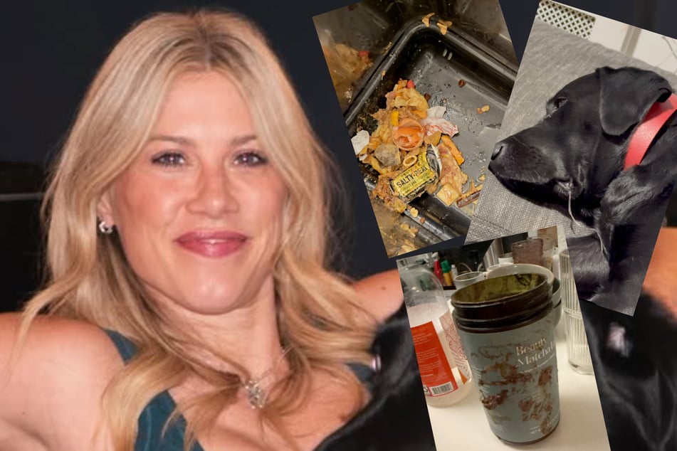 Dog and cat owner is horrified to see what pet sitter did while she was away: "Vomit and poop all over"