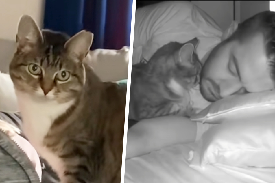 Cat owner catches his pet doing the sweetest thing while he slept!