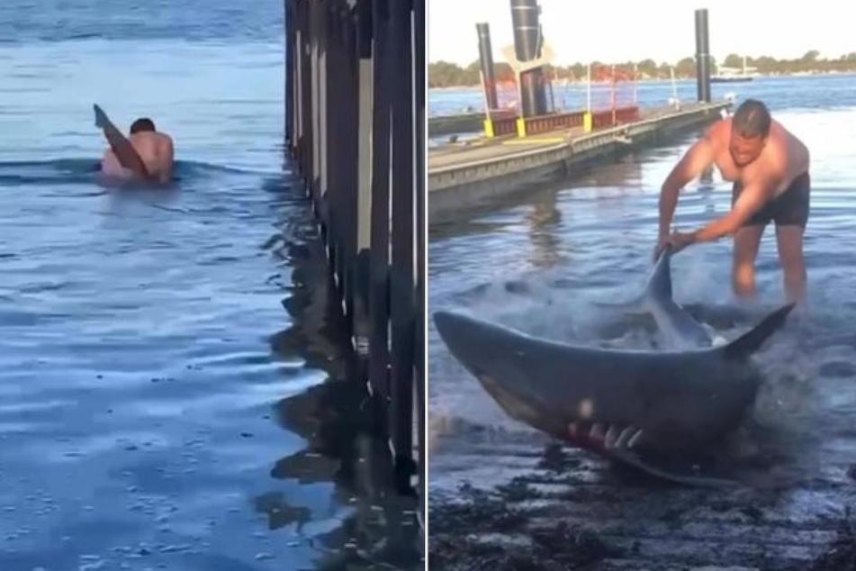 While other people would probably flee in panic when approached by a shark, a family man from Australia did exactly the opposite and jumped into the water with the predator.