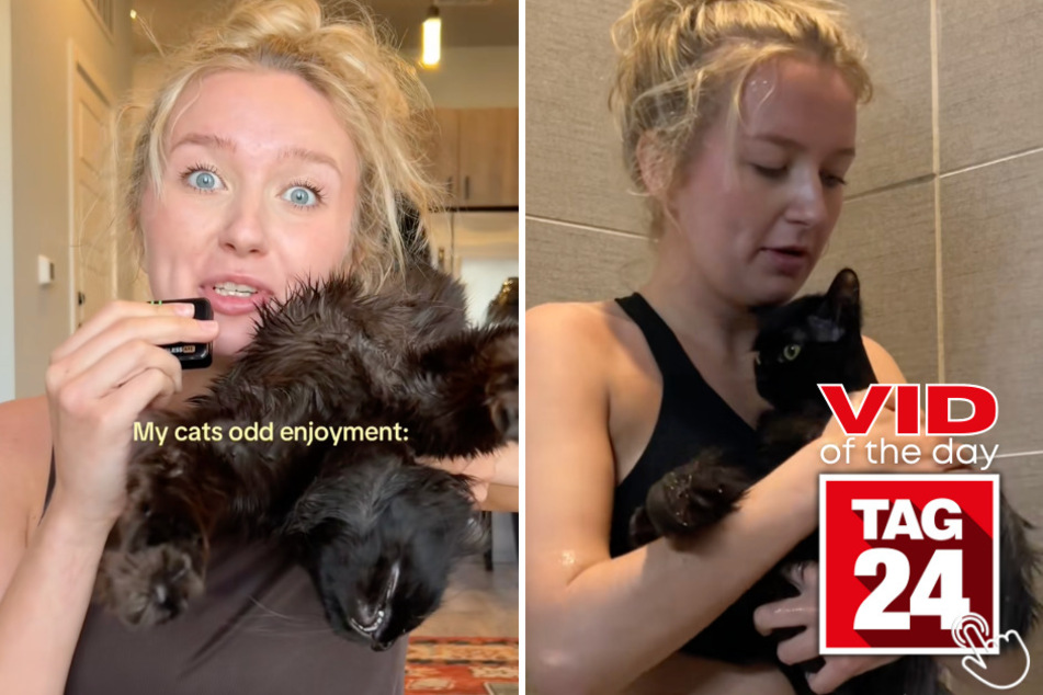 This "unbothered" Craigslist cat has no problem getting soaked if it means staying close to his favorite human!
