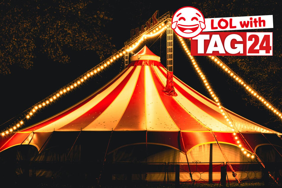 Joke of the Night for September 29, 2026: A circus silly!