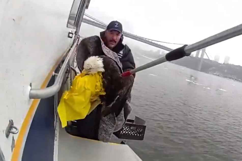 Several rescuers pulled the bald eagle out of the Hudson River and warmed it with blankets.