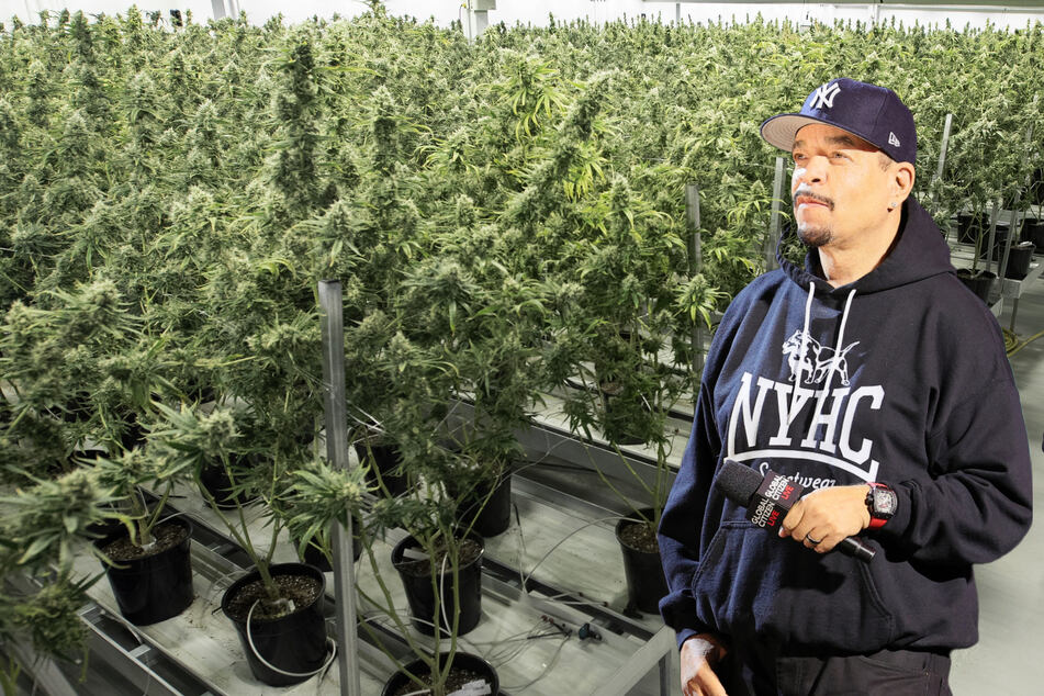 Ice-THC: Rapper set to open new cannabis dispensary in Jersey City