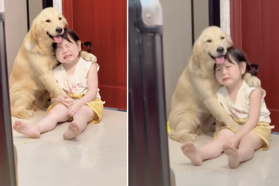 When this little girl got into trouble with her parents, her loyal doggy bestie immediately jumped into action.