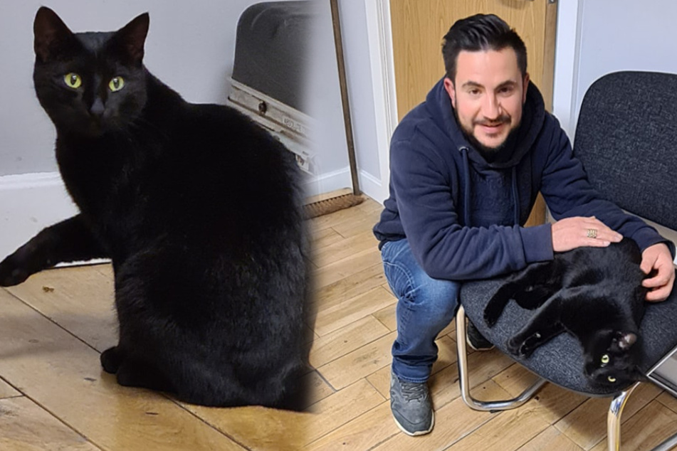 A letter brings a cat and her owner back together after three years of separation