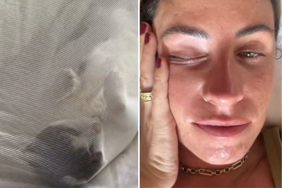 Cat visitor shocks woman recovering from hangover!