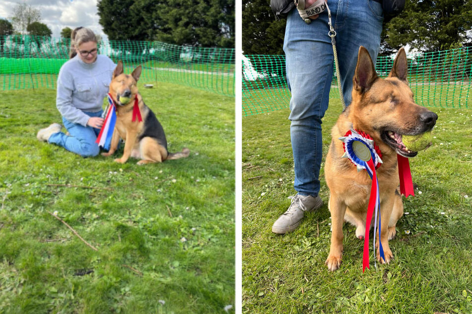 Blind dog down on his luck finds well-deserved happy ending