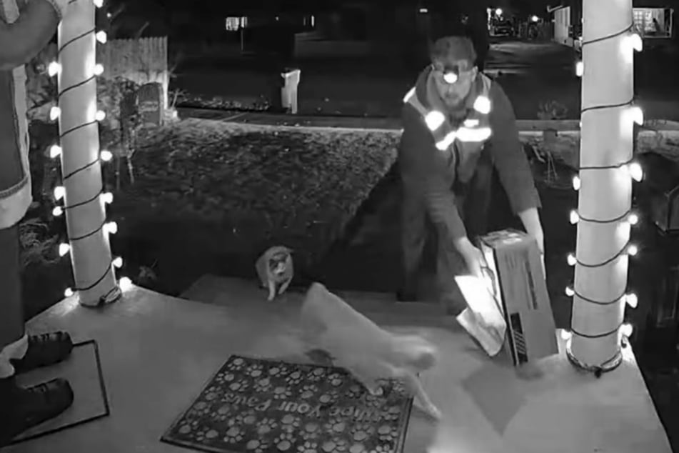 Cat owner is shocked when she sees what deliveryman does to her pets on doorbell camera