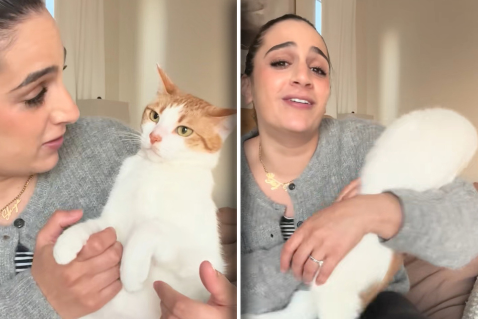Fifi teases Princess the cat, who wants to escape pretty quickly.