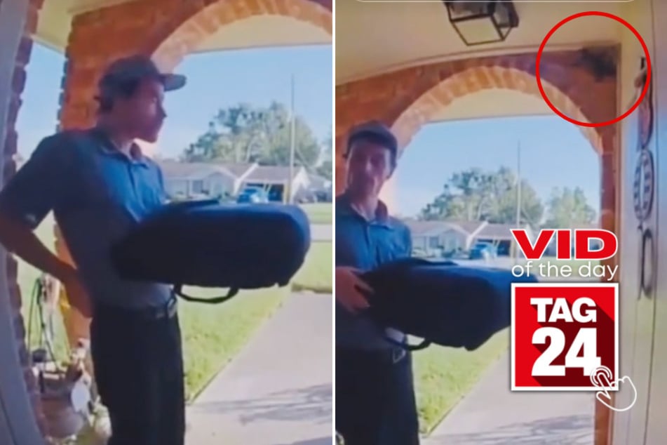 Viral Video of the Day for July 30, 2024: Squirrel leaps into woman's house during pizza delivery!