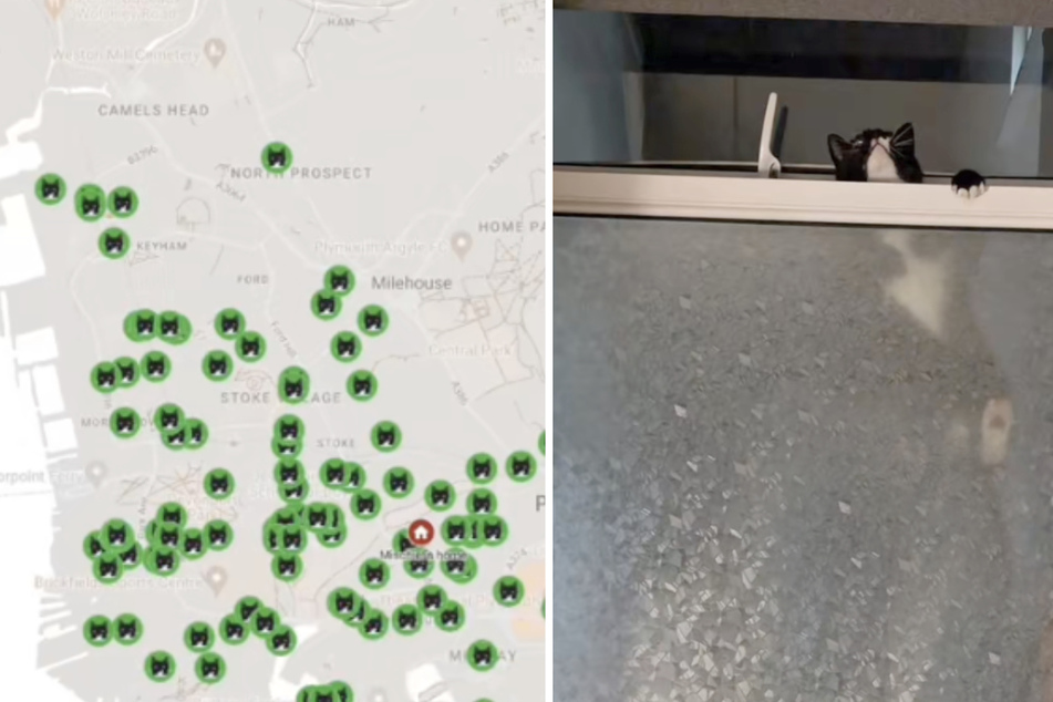 Plymouth residents have begun tracking Mischief's adventures with an interactive map.