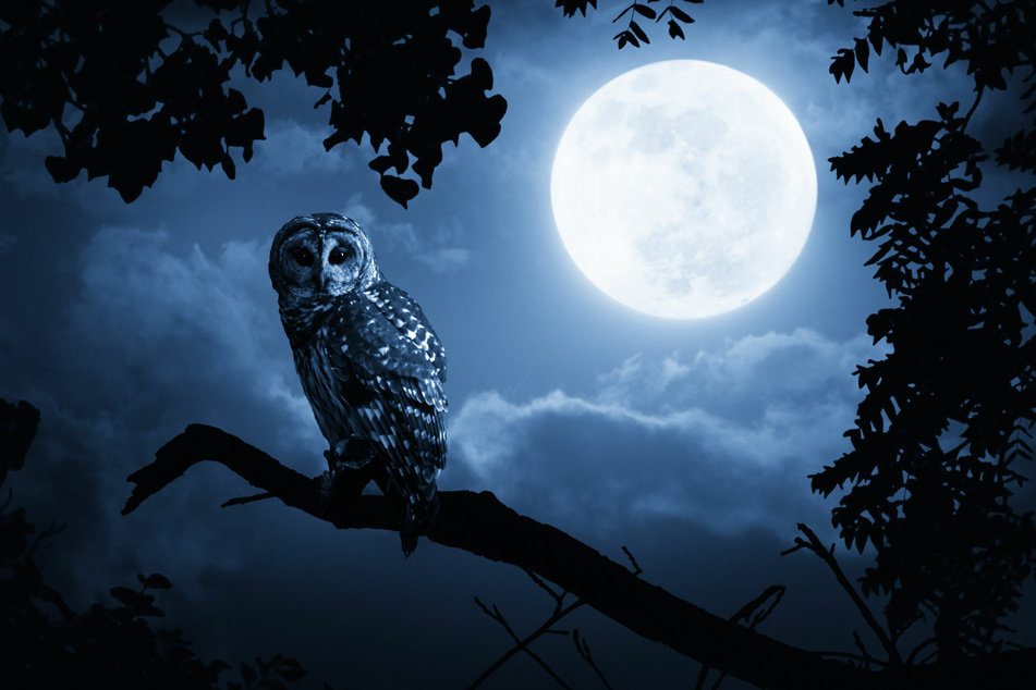 Today's horoscope: free horoscope for October 31, 2020