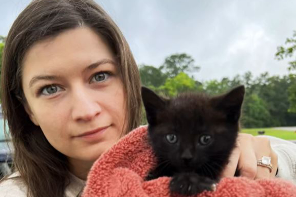 This adorable kitten was hiding under Savannah Piccini's car!