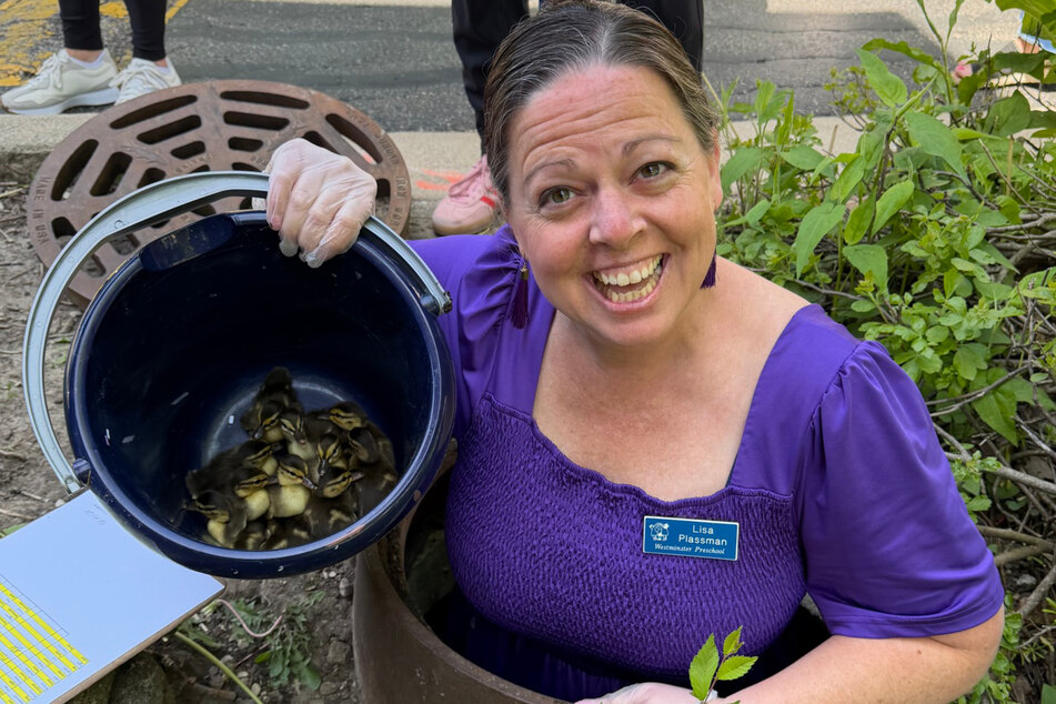 Lisa Plassman finally got the ducklings out of the "trap" with a bucket.