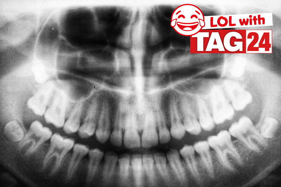 Today's Joke of the Day will make you smile wide!