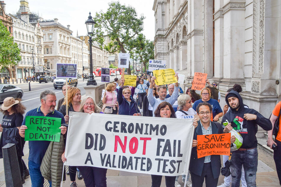 Demonstrators marched from the Department for Environment, Food and Rural Affairs (Defra) to Downing Street in support of Geronimo the alpaca.