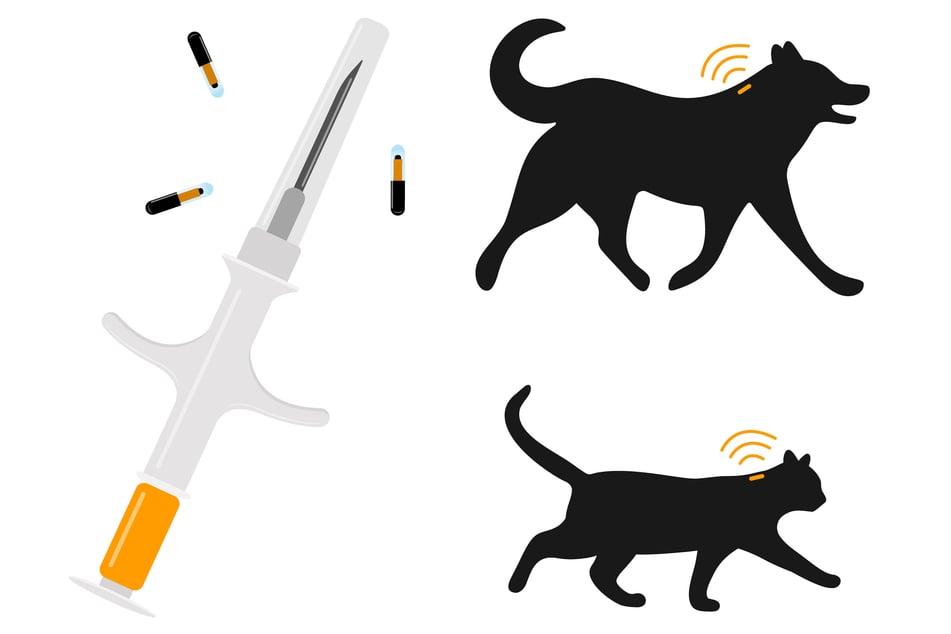It is not difficult or dangerous to have your pet microchipped, but it is important.