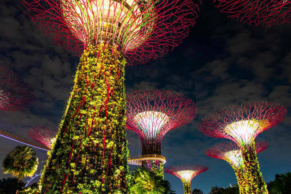 TAG24 reports on the strangest goings on from around the world.