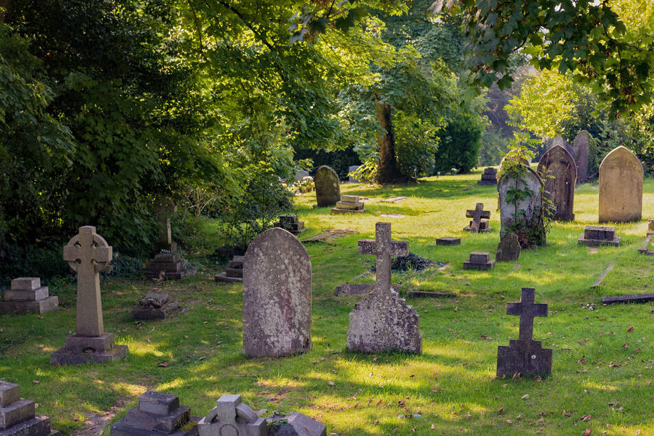 Australian caught masturbating in a cemetery with an electric toothbrush