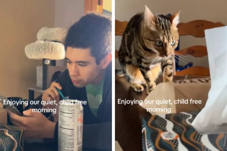Couple expects a "quiet, child free morning" – but they forgot about their cat!