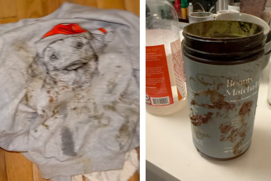Dirty clothes, dirty dishes: this is how the pet caregiver allegedly left Ashley's house.