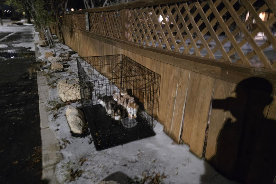 The animal cage was abandoned by the roadside in freezing temperatures.