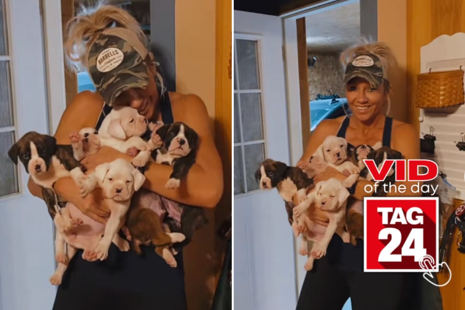 Viral Video of the Day for July 10, 2023: Mom brings home all the puppies!