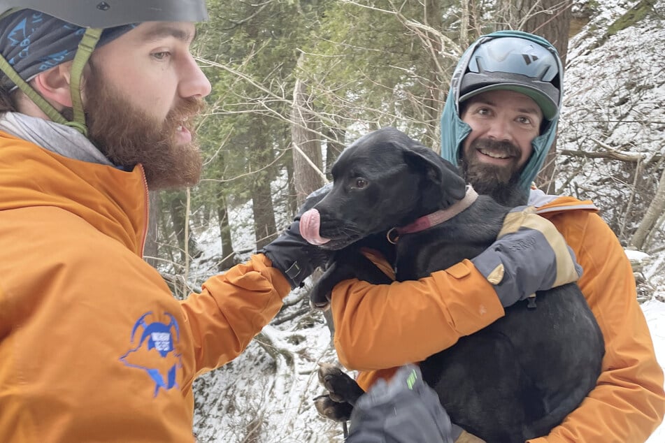The emergency services were able to track down the fallen dog the next morning.