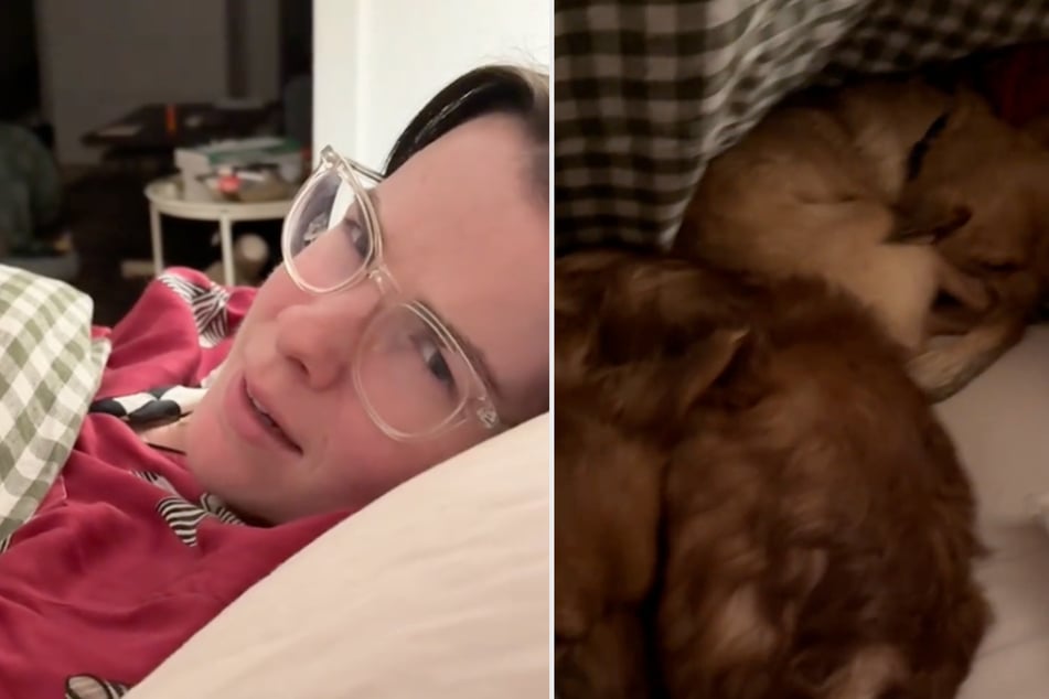 The woman reacts appropriately – and lets both four-legged friends sleep in her bed after all.