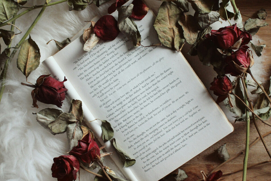 Book Release Radar: Most anticipated reads of February 2024