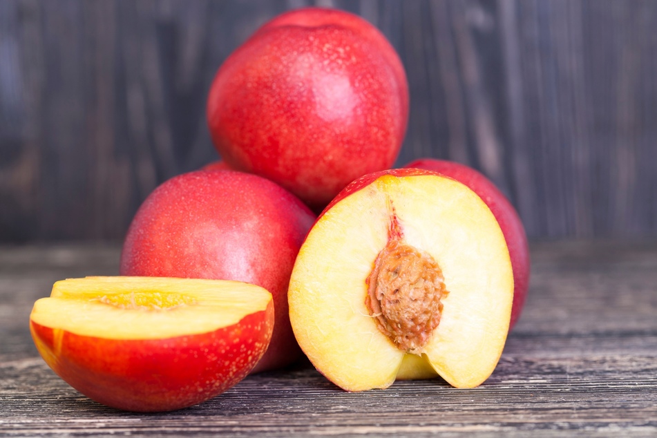 Dogs are only allowed to eat the flesh of a nectarine.