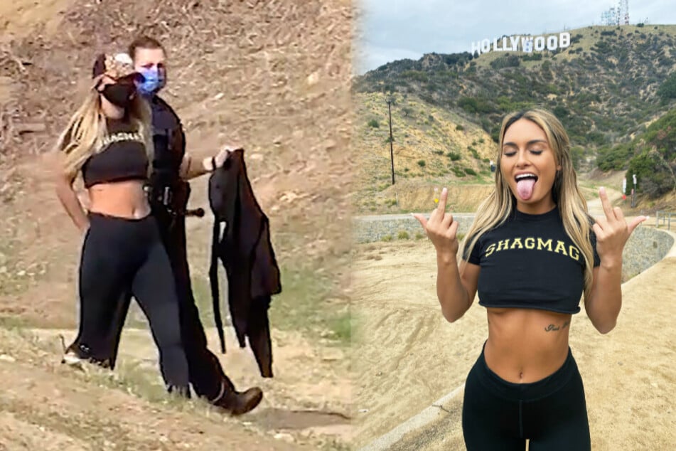 What does adult model Julia Rose have to do with the Hollyboob stunt?
