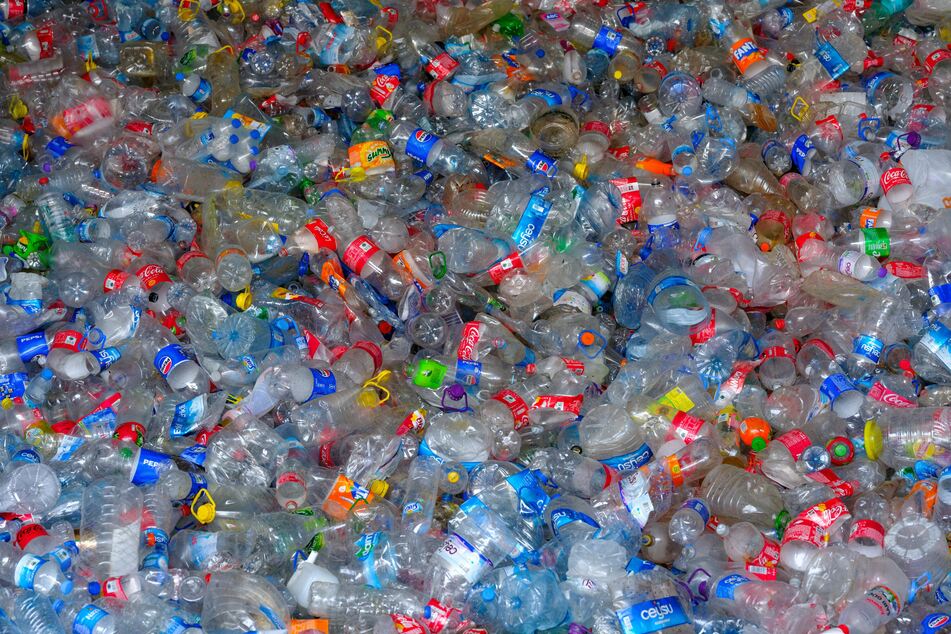 Daily exposure to chemicals used for many plastic household items could be linked to more than 356,000 deaths from cardiovascular disease worldwide in 2018, according to a study published this week.