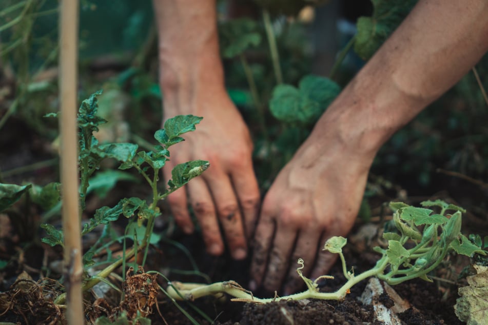 Don't be afraid to get your hands dirty.