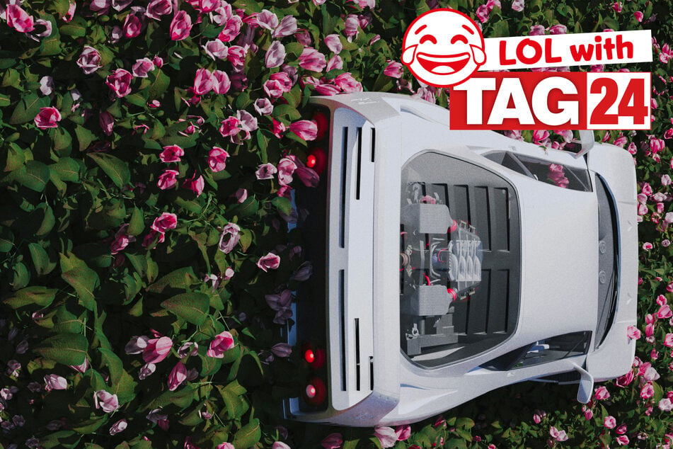 Today's Joke of the Day is a flowery funny.