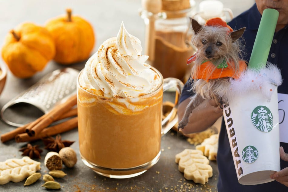 Starbucks' Pumpkin Spice Latte has made a triumphant and early return