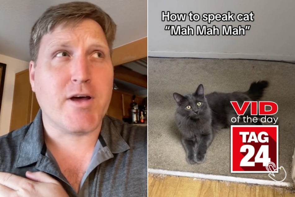 Viral Video of the Day for July 2, 2023: Cat whisperer stuns TikTok users with amazing tip!