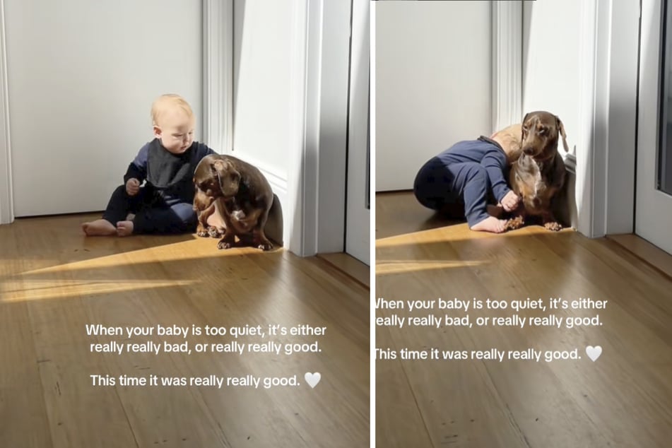 Little baby Louis from Australia was caught cuddling with the family dog in an adorable viral video!