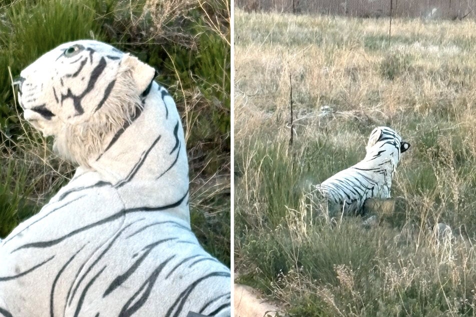 Rescuers rushing in to help after reports of an injured dog met with hilarious surprise