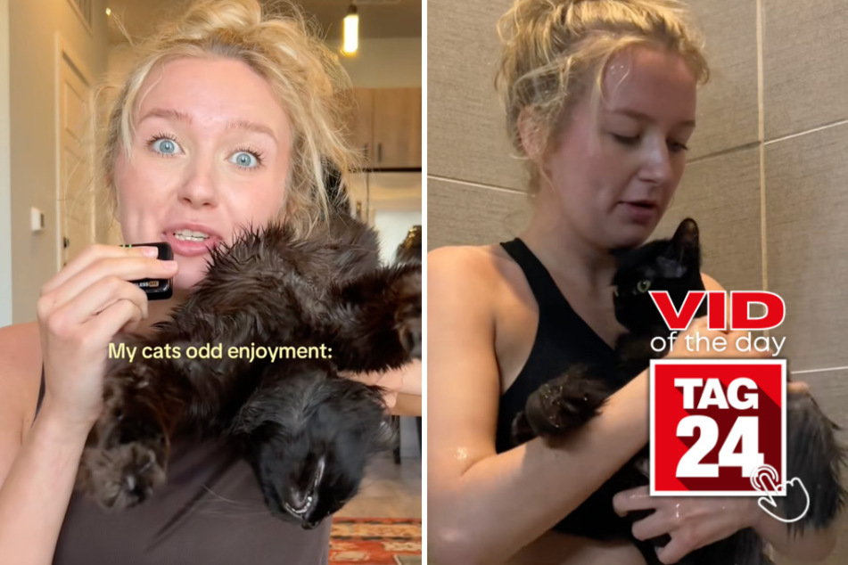 Viral Video of the Day for July 11, 2026: Woman shows off her "unbothered" Craigslist cat and viewers can't get enough!
